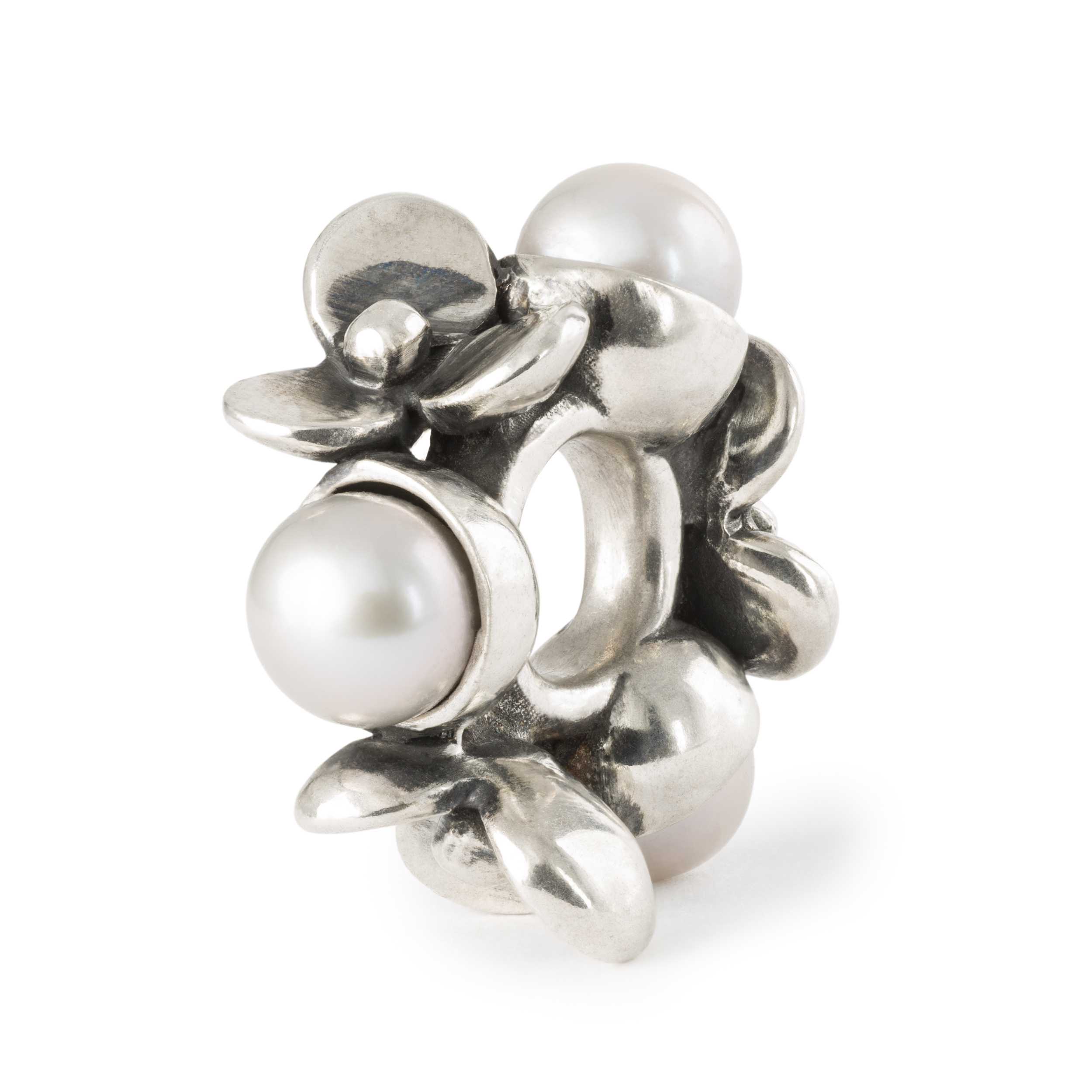 Trollbead - Parels van Geduld